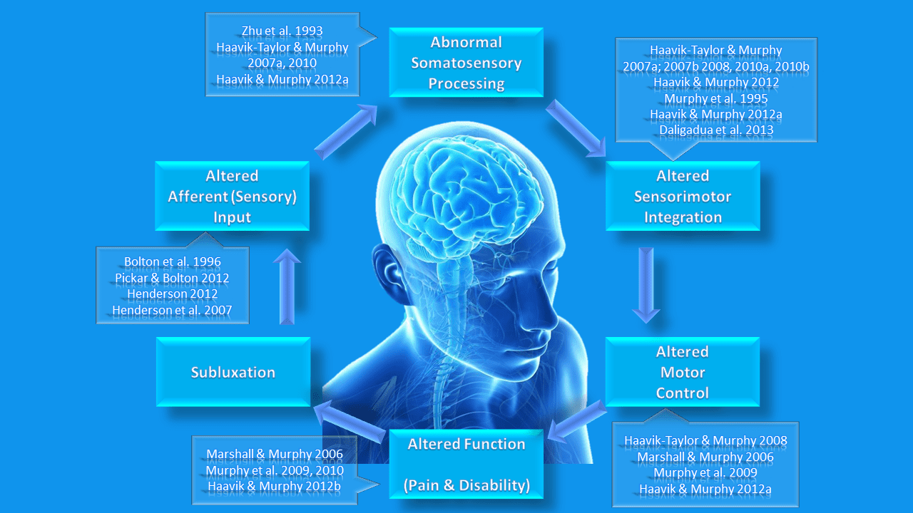 Image of Heidi Haavik Afferent Model of Subluxationw with Research References