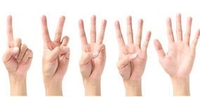 5 hands displaying numbers 1-5 with fingers