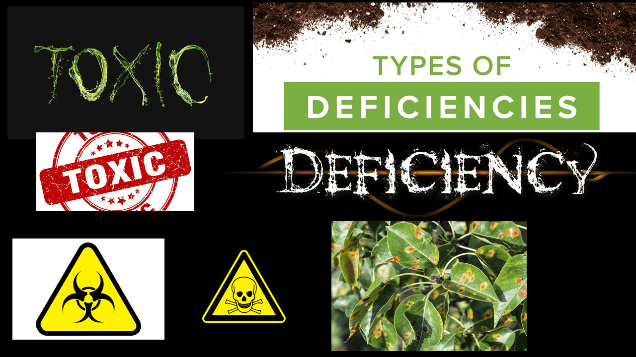 A slide identifying toxicity and deficiency