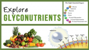 Glyconutrients cover image showing fruit, veggies, cellular receptors and the types of important sugars