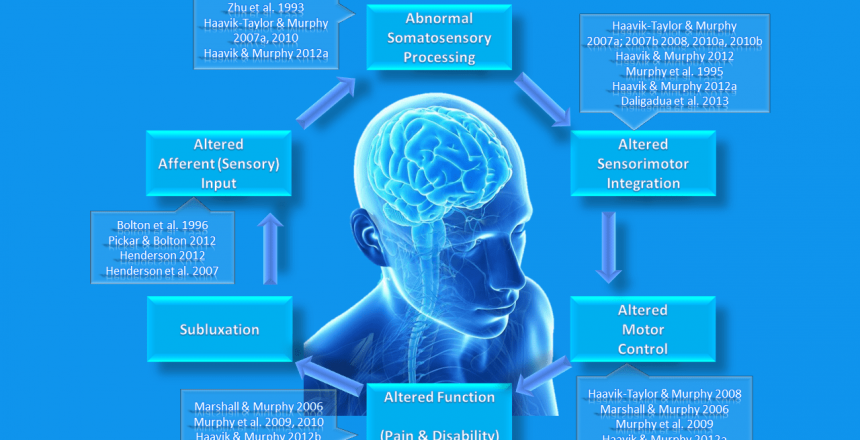 Image of Heidi Haavik Afferent Model of Subluxationw with Research References