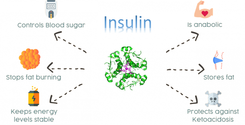 Insulin infographic featured image for article