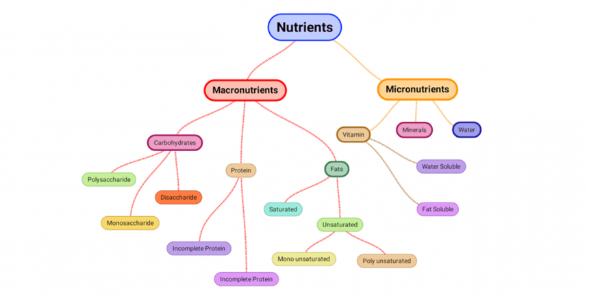 micro and macronutrients diagram